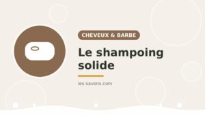 Shampoing solide naturel